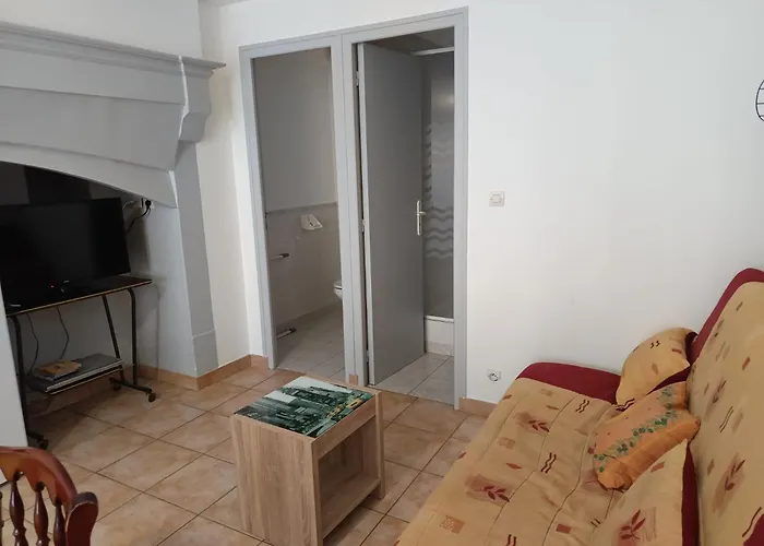 Magnifique Duplex 4-9p Chamois 5 Centre Appartement