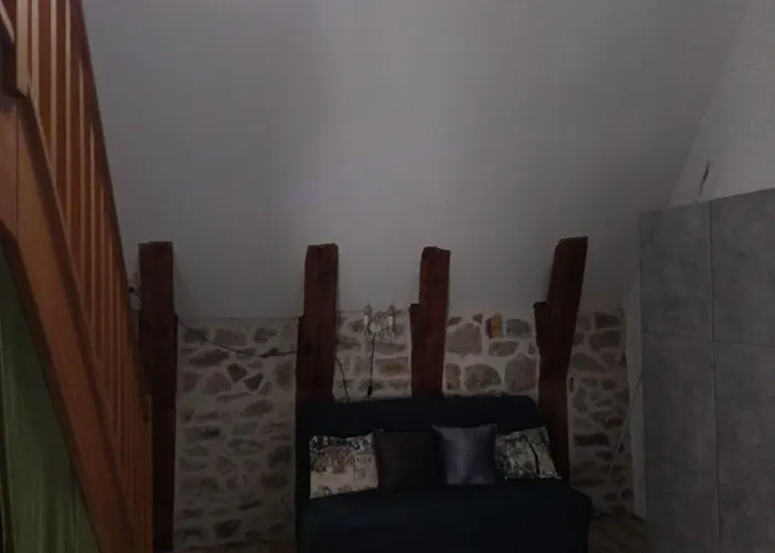 Magnifique Duplex 4-9p Chamois 5 Centre La Bourboule