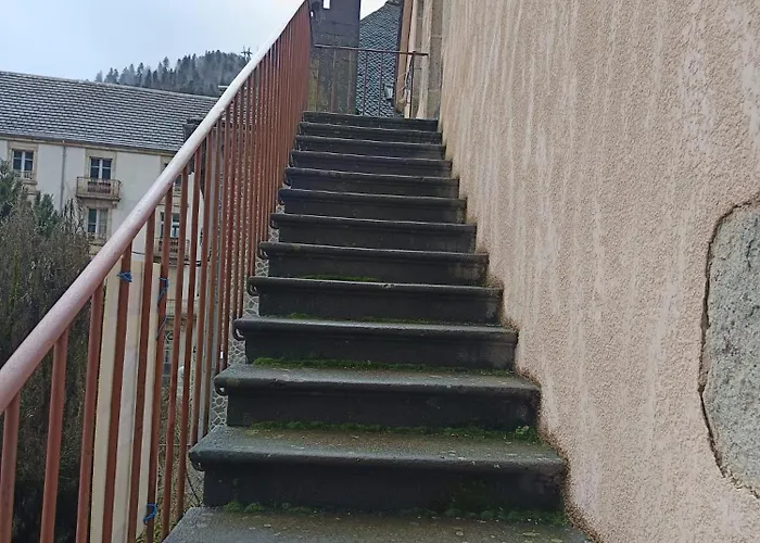 Magnifique Duplex 4-9p Chamois 5 Centre Apartment La Bourboule